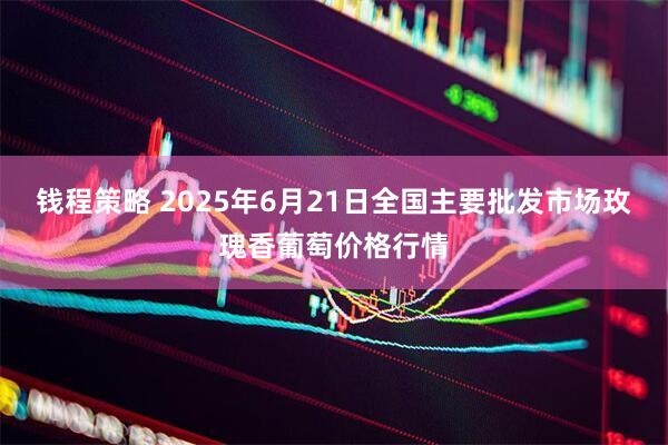 钱程策略 2025年6月21日全国主要批发市场玫瑰香葡萄价格行情